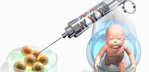 烟台试管婴儿胚胎植入前遗传学诊断技术应用探讨