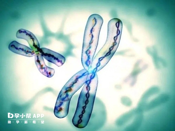 温州不孕不育诊疗现状及发展趋势