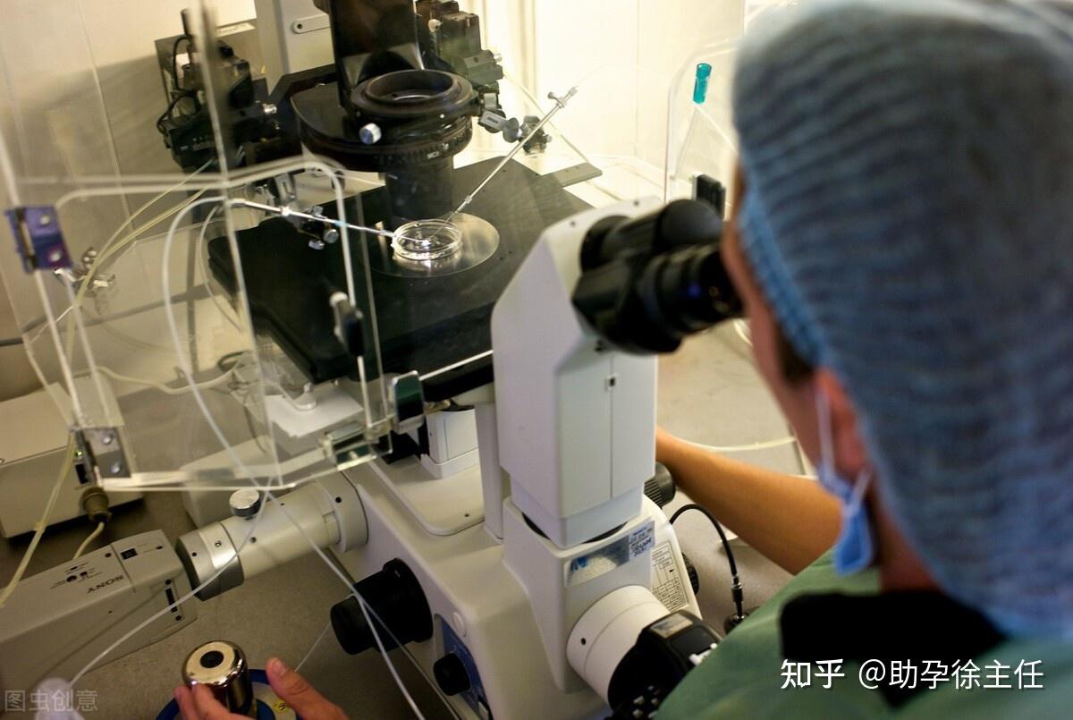 湖北试管婴儿胚胎植入技术