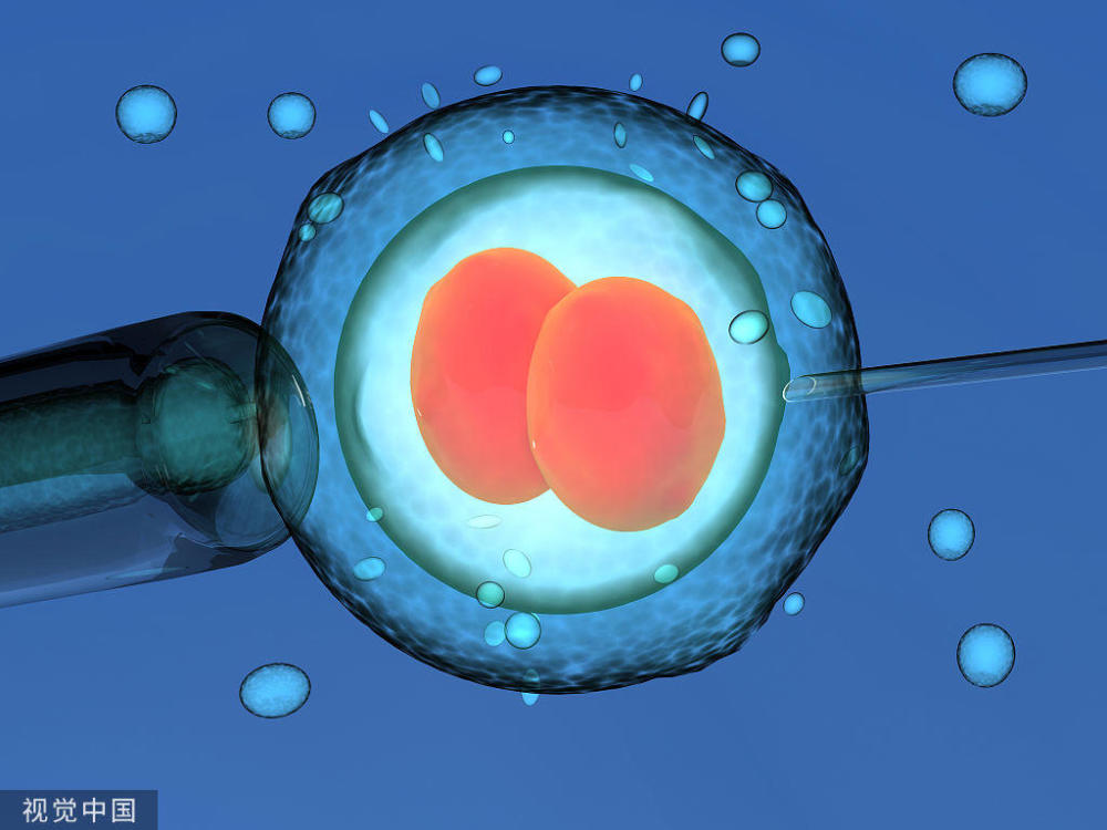 溜冰与女性生育能力的关系