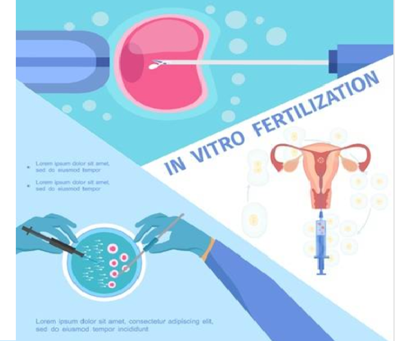 潮州与泰国美国试管婴儿技术比较研究
