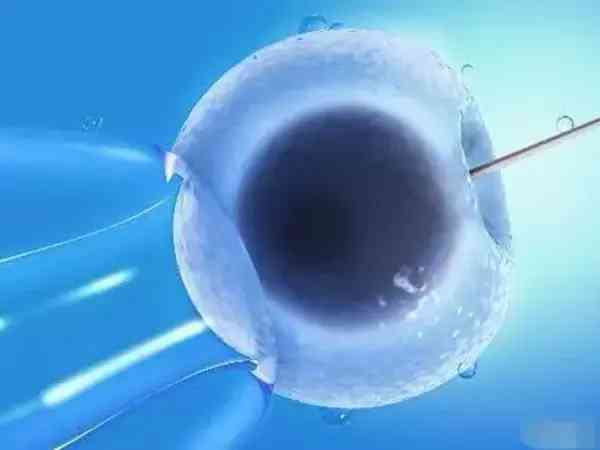 环境内分泌干扰物与不孕症发生率的相关性研究